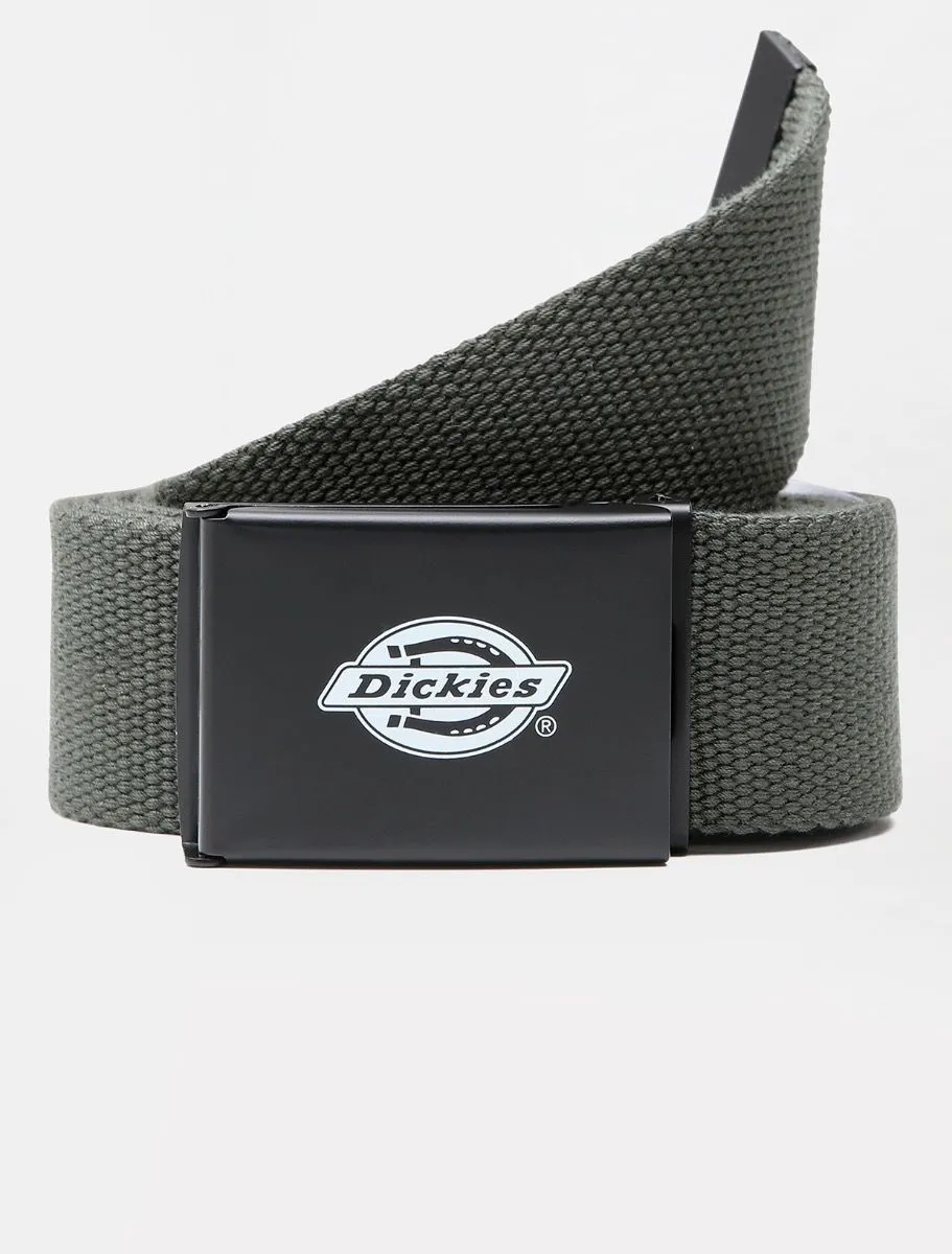 Dickies Orcutt DK0A4X7EOGX olive gray unisex belt 