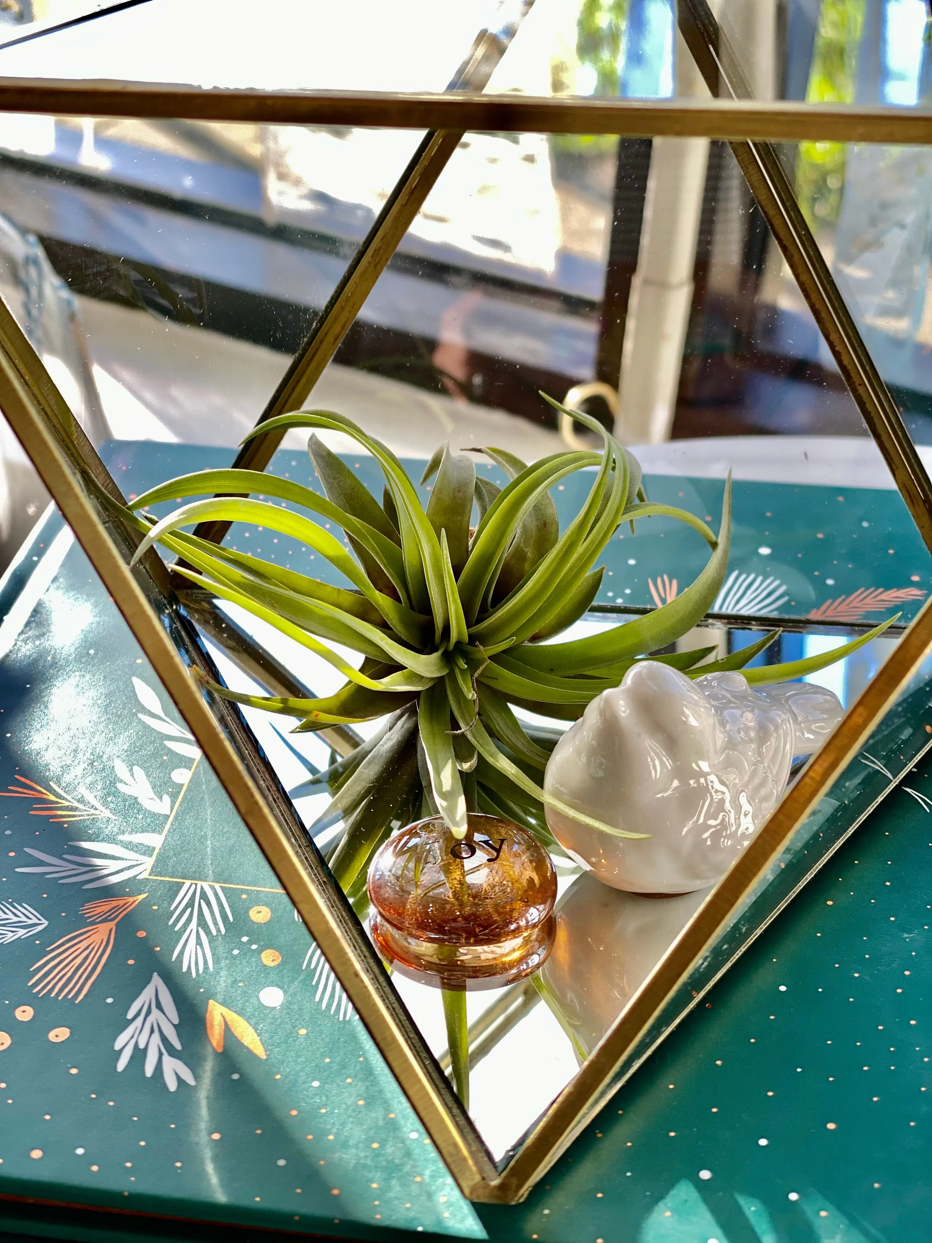 Heptahedron Gold Metal Geometric Glass Terrarium, Multipurpose Air Plants Holder