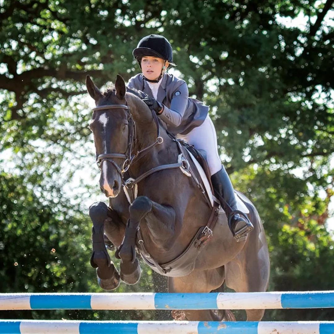 Shires Aubrion Oxford Ladies Show Jacket